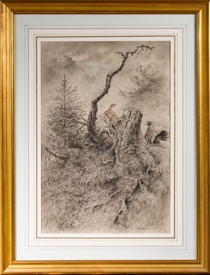 Xavier de Poret (1894-1975) Couple of capercaillie in a tree

Pencil signed lower...