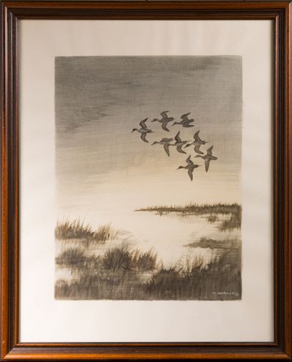 Francis BERILLE (1945) Vol de canards

Lavis d’encre sur papier, signé en bas à droite...