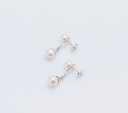 null Pair of 18K (750 ‰) white gold earrings each adorned with two cultured pearls,...