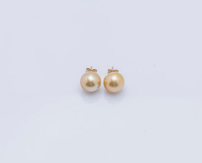 null Paire de puces d'oreilles en or jaune 18 carats (750 ‰) ornées d'une perle de...