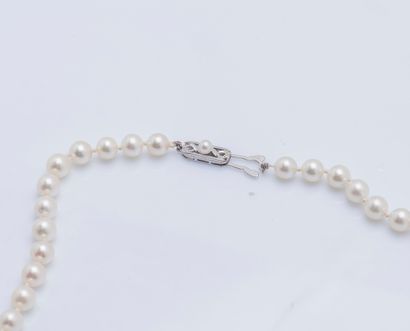null Necklace of one row of choker cultured pearls, 14-karat (585 ‰) white gold clasp...