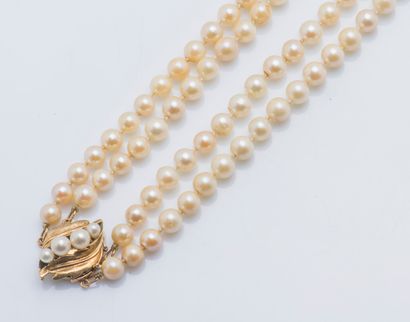 null Necklace two rows of pearls of cultured choker, the clasp in yellow gold 14...