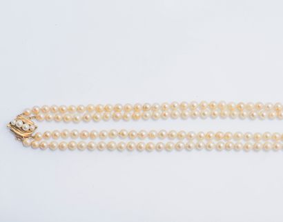 null Necklace two rows of pearls of cultured choker, the clasp in yellow gold 14...