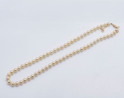null Necklace of a row of pearls of cultured choker of color champagne, clasp olive...