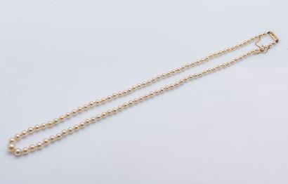 null 
Necklace of a row of pearls of culture in fall, the clasp in yellow gold 18...