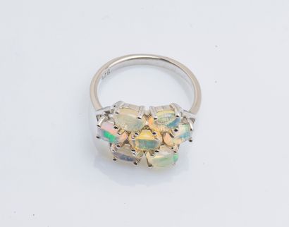 null Silver ring (925 ‰) adorned with five oval-cut cabochon opals drawing a flower.

Finger...