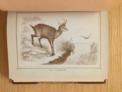 null HUNTING WITH SHOOTING.- CHERVILLE. Tales of hunting and fishing. 1878 - CHERVILLE....