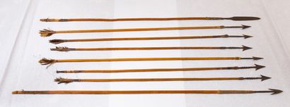null Lot de 8 flèches avec carquois gainé de cuir

Longueur : 76 cm