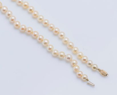 null Necklace with a row of 71 falling champagne cultured pearls, 18K (750 ‰) yellow...