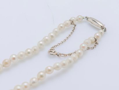 null Necklace of a row of pearls of culture in fall, the clasp shuttle in white gold...