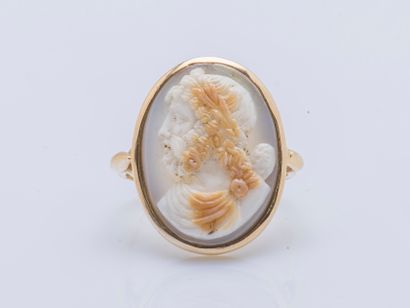 null Bague en or jaune 14 carats (585 millièmes) ornée d'un camée coquilles trois...