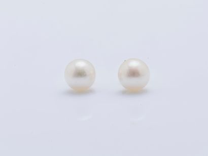 null Pair of earrings decorated each one with a pearl of culture button, the clasp...