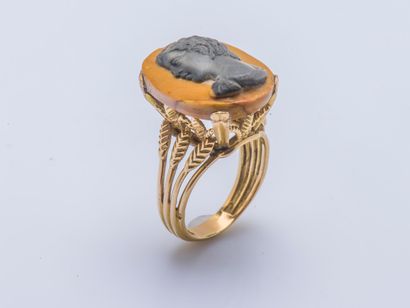 null Yellow gold ring 18 carats (750 thousandths) set with a cameo in two-tone jasper...