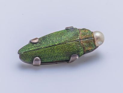 null Broche en argent (925 millièmes) ornée d'un scarabée au naturel et d'une perle...