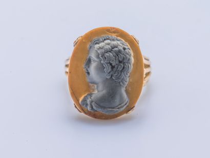 null Yellow gold ring 18 carats (750 thousandths) set with a cameo in two-tone jasper...