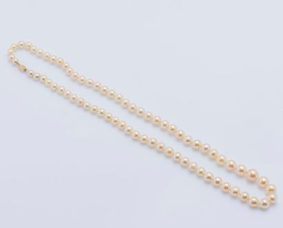 null Necklace with a row of 71 falling champagne cultured pearls, 18K (750 ‰) yellow...