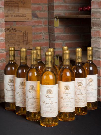 10 bottles of Château de Rayne Vigneaux,...