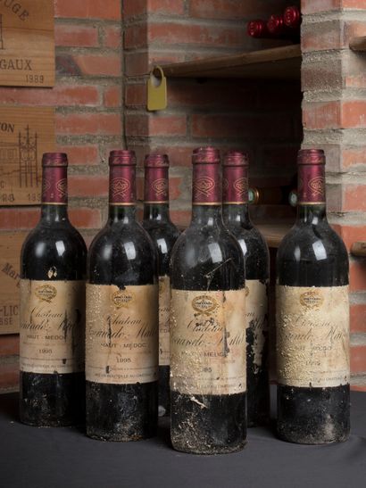 null 6 bottles of Château Sociando Mallet Haut Medoc 1995
Low level neck 
Damaged...