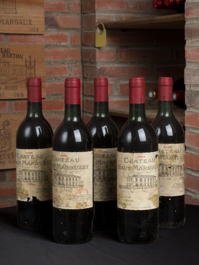 5 bottles of Château Haut-Marbuzet, Saint...