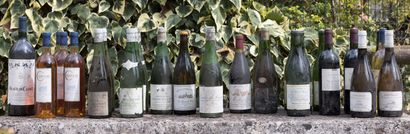 null Important lot de vin comprenant Coulée de Serran, Mouton Cadet, Cadillac, Moulin...