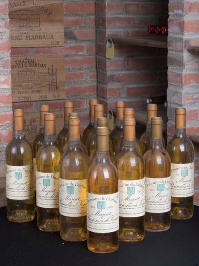 null 16 bouteilles de Muscat Beaumes de Venise, Domaine de Durban 1990, 1993, 1999
Niveaux...