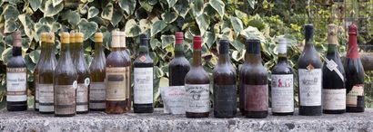 null 22 bouteilles d'alcool comprenant Ratafia, Macvin, Muscat et divers 
Dans l'état

Pour...