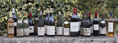 null Important lot de vin comprenant Château Neuf du Pape 1986, Condrieu, vin Corse,...
