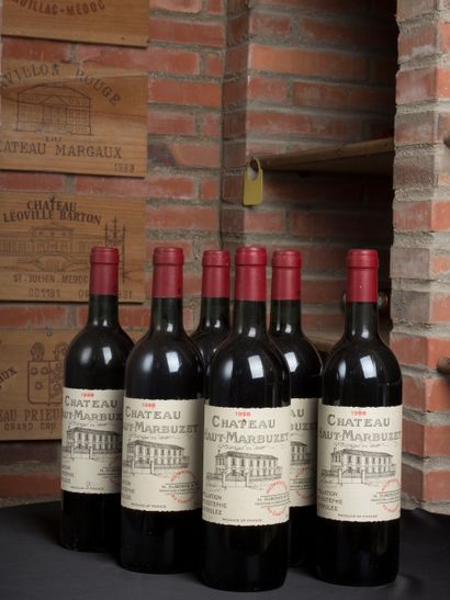 6 bottles of Château Haut-Marbuzet, Saint...