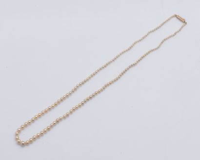 null Collier de perles de culture en chute, le fermoir en or rose 18 carats (750...