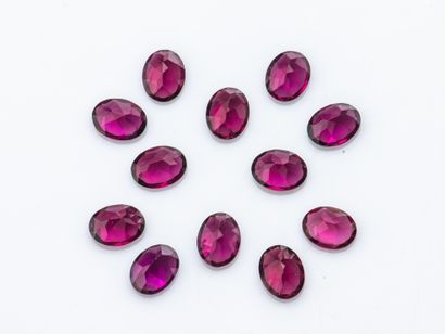 null Lot de 12 grenats rhodolite ovales d'environ 1,8 carat. 
Poids total : 26,3...