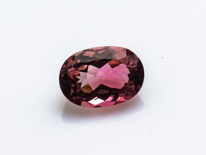 null Tourmaline rose ovale d'environ 6,9 carats.