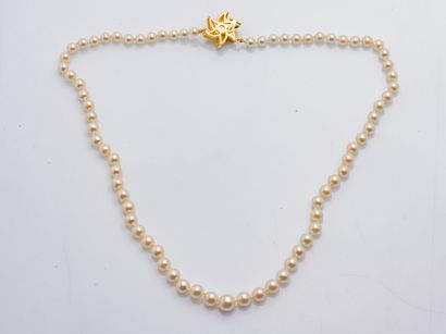 null Necklace in pearl of culture of approximately 5 to 8 mm, the clasp in yellow...