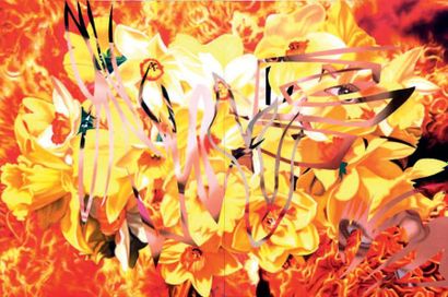 James ROSENQUIST, né en 1933 Flowers before flames, 1990 Acrylique sur toile, diptyque,...