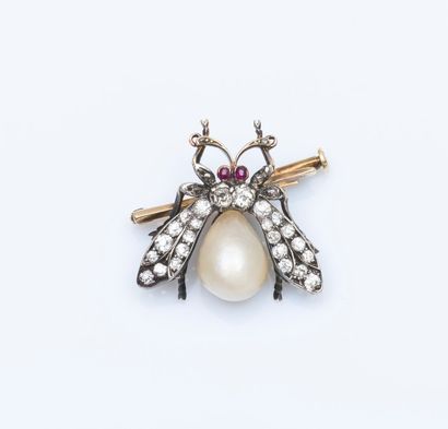 null Broche mouche en or gris et or jaune 14 carats (585 millièmes) le corps formé...