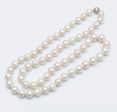 null Sautoir composé de perles de culture en chute de 13 à 15 mm. Le fermoir en or...