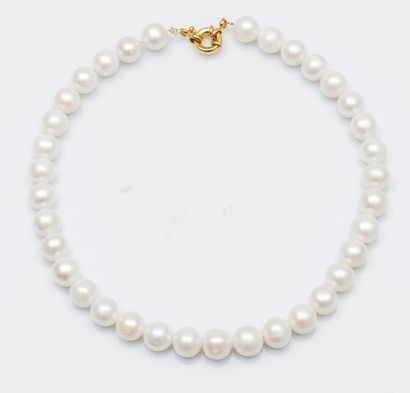 null Collier chocker composé de perles de culture de 12 mm environ, fermoir en plaqué...