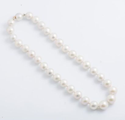 null Collier de perles de culture blanches choker, fermoir en or rose 9 carats (375...