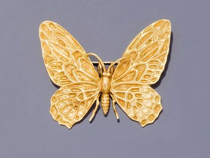 null Broche papillon en or jaune 18 carats (750 millièmes), les ailes à décor ciselé...