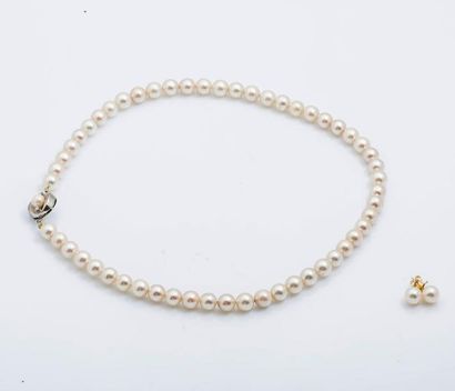 null Collier chocker composé de perles de culture de 6,5 à 7 mm environ. Fermoir...