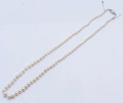null Collier de perles de culture en chute, le fermoir en or gris 18 carats (750...