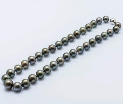 null Collier choker formé d’un rang de perles de Tahiti. Fermoir en or gris 9 carats...