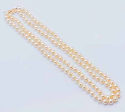 null Collier de deux rangs de perles de culture, fermoir en or jaune 18 carats (750...