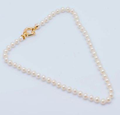 null Collier de perles de cultures blanches choker d’environ 7,3 mm de diamètre....