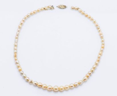 null Partie de collier de perles irrégulières, il est joint un fermoir ovale en or...
