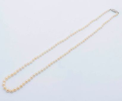 null Collier de perles de culture en chute, fermoir en or gris 18 carats (750 millièmes)...