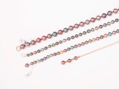 null Lot de trois colliers de perles de Tahiti : Collier choker de perles de culture...