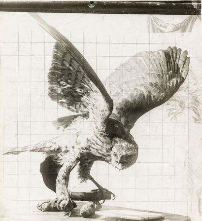 José Maria Sert (1874-1945) Étude d’oiseaux empaillés ou en plâtre, c. 1910-1930....