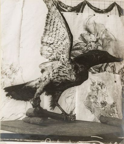 José Maria Sert (1874-1945) Étude d’oiseaux empaillés ou en plâtre, c. 1910-1930....