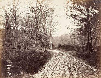 Ildefonse Rousset et anonymes La Marne, c. 1865. 

Barbizon. Gorge aux loups, c....