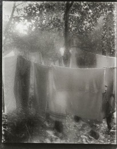 Josef Sudek (1896-1976) Portfolio 5. 10 Photographs 1940-1966. 

White Rose Bud,...